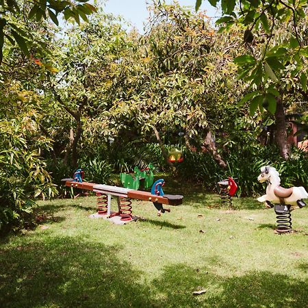 Homeforguest Cosy Rural Flat La Lavanda Surrounded By Nature Такоронте Экстерьер фото