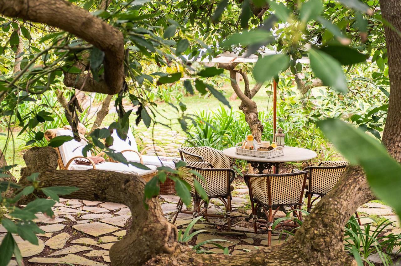 Homeforguest Cosy Rural Flat La Lavanda Surrounded By Nature Такоронте Экстерьер фото