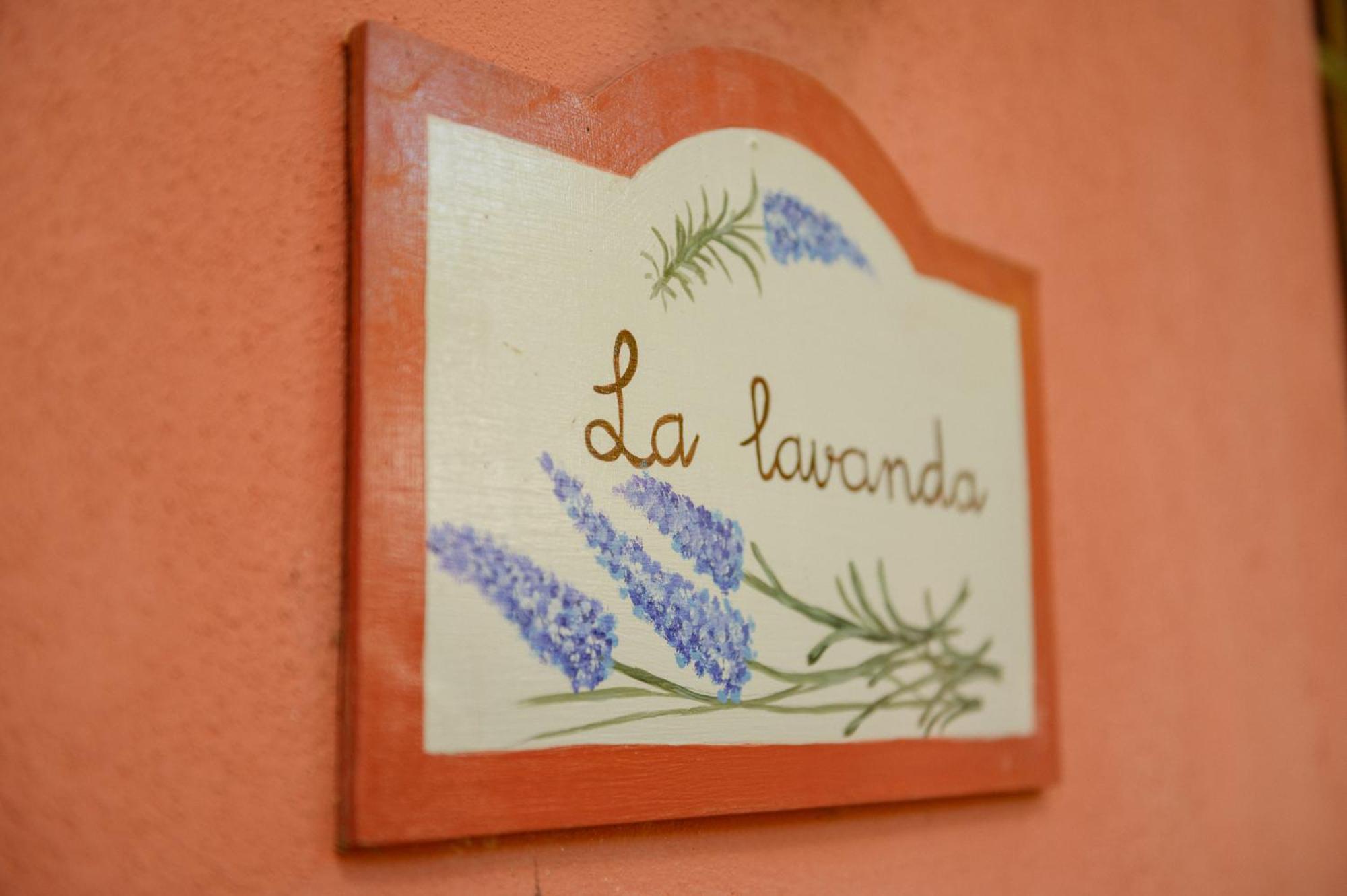 Homeforguest Cosy Rural Flat La Lavanda Surrounded By Nature Такоронте Экстерьер фото