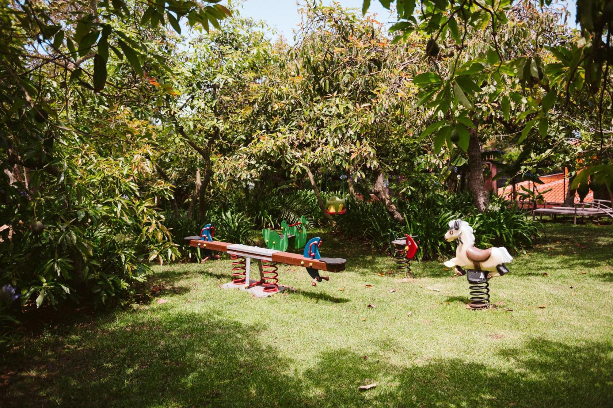 Homeforguest Cosy Rural Flat La Lavanda Surrounded By Nature Такоронте Экстерьер фото